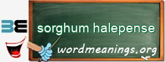 WordMeaning blackboard for sorghum halepense